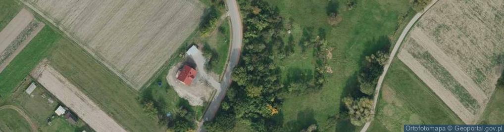 Zdjęcie satelitarne Żapniowska ul.