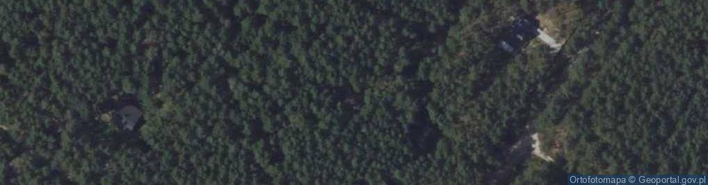 Zdjęcie satelitarne Zawilcowa ul.