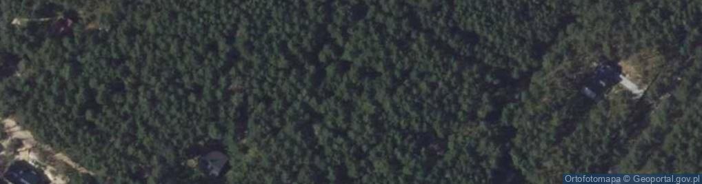 Zdjęcie satelitarne Zawilcowa ul.