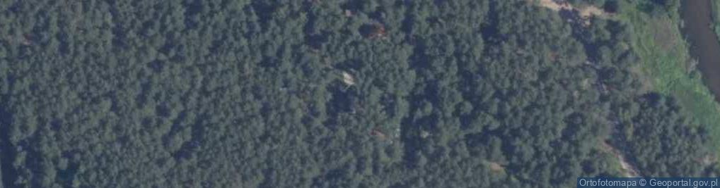 Zdjęcie satelitarne Zagaje ul.