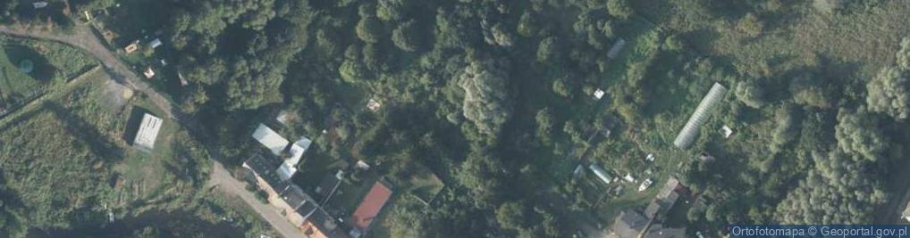 Zdjęcie satelitarne Zapomniana ul.
