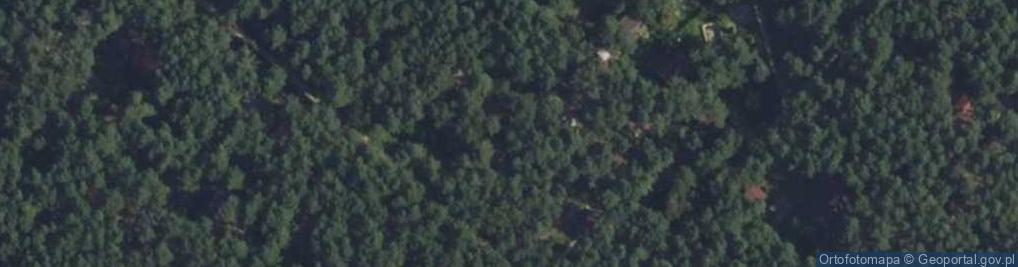 Zdjęcie satelitarne Żabi Chór ul.