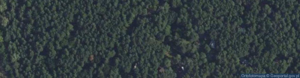 Zdjęcie satelitarne Żabi Chór ul.