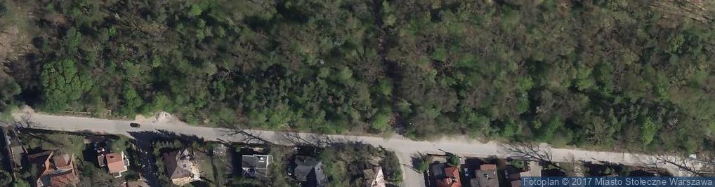 Zdjęcie satelitarne Zalipie ul.