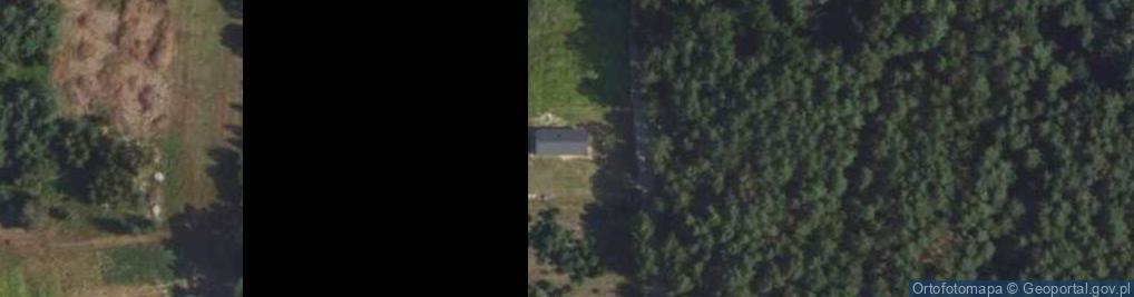 Zdjęcie satelitarne Zawilcowa ul.