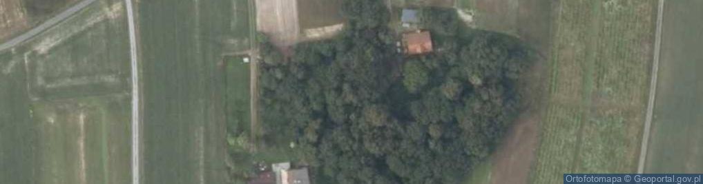 Zdjęcie satelitarne Zagórze ul.