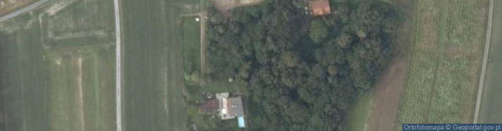 Zdjęcie satelitarne Zagórze ul.