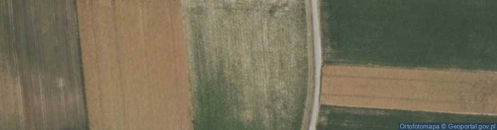 Zdjęcie satelitarne Żabików ul.