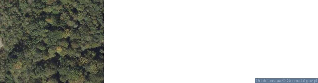 Zdjęcie satelitarne Zaborów ul.