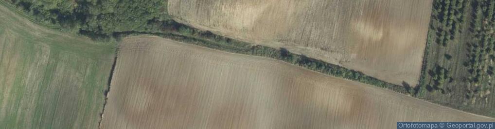 Zdjęcie satelitarne Zadębce ul.