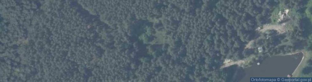 Zdjęcie satelitarne Zajączków ul.