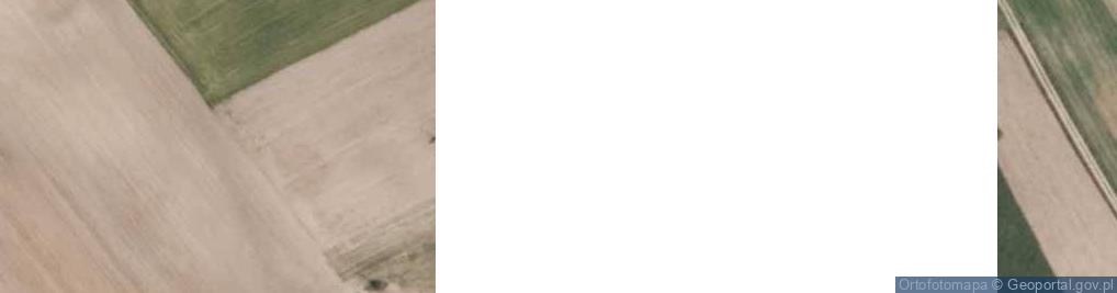 Zdjęcie satelitarne Zajączkowo-Folwark ul.