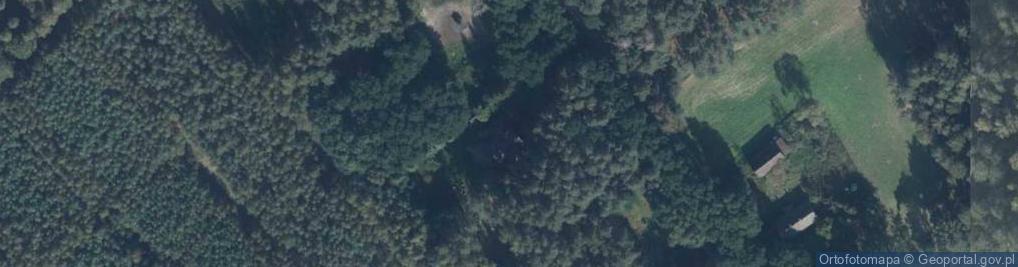 Zdjęcie satelitarne Zajączkowo ul.