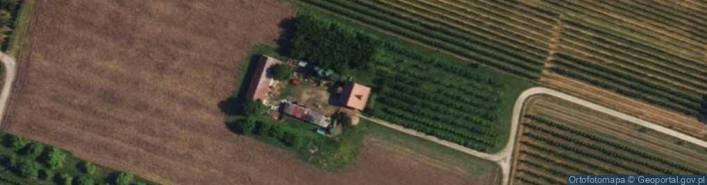 Zdjęcie satelitarne Zakrzew ul.