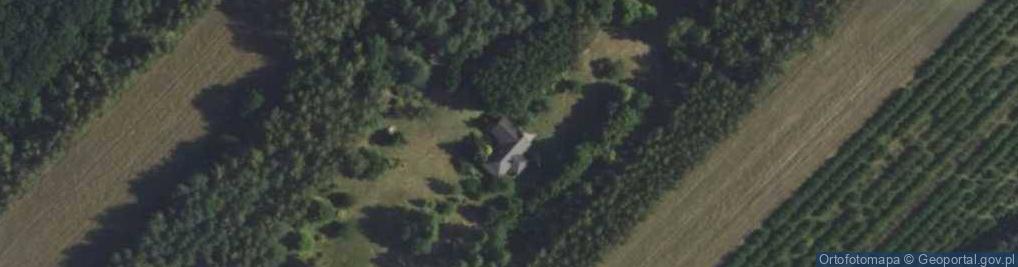 Zdjęcie satelitarne Zakrzew ul.
