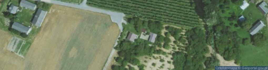 Zdjęcie satelitarne Zakrzów ul.