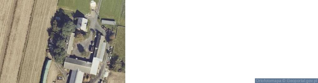 Zdjęcie satelitarne Zakrzyn-Dąbrowa ul.