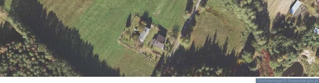 Zdjęcie satelitarne Zaleśna ul.