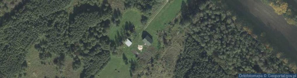 Zdjęcie satelitarne Żalin-Kolonia ul.