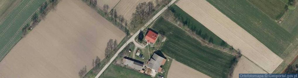 Zdjęcie satelitarne Zalipie ul.