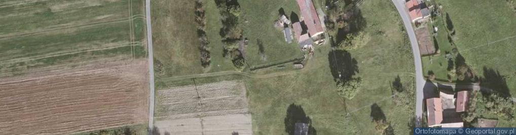 Zdjęcie satelitarne Zalipie ul.