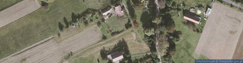 Zdjęcie satelitarne Zalipie ul.