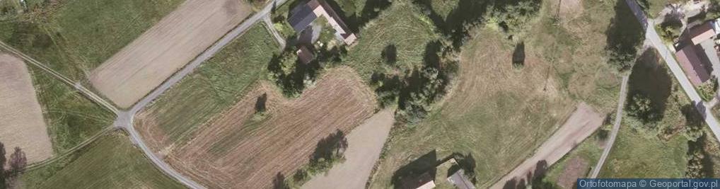 Zdjęcie satelitarne Zalipie ul.