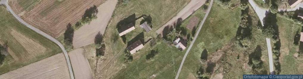 Zdjęcie satelitarne Zalipie ul.