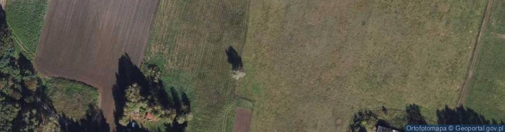 Zdjęcie satelitarne Zamek Bierzgłowski ul.