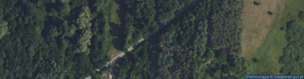 Zdjęcie satelitarne Zamość ul.