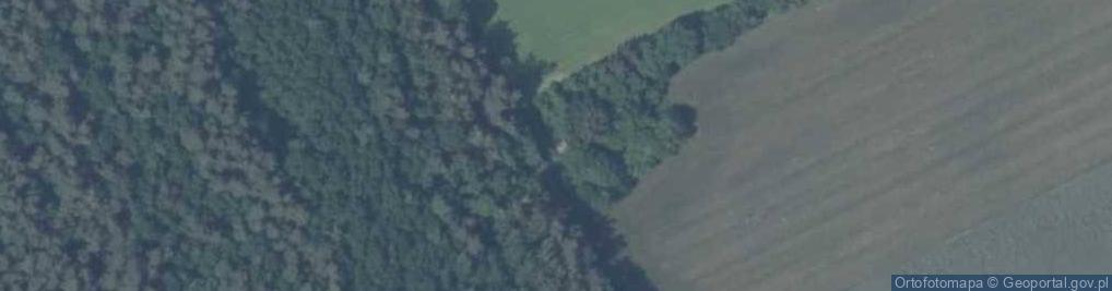 Zdjęcie satelitarne Zapusta ul.