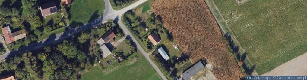 Zdjęcie satelitarne Żarczyn ul.