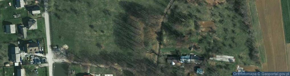 Zdjęcie satelitarne Żary ul.