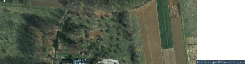 Zdjęcie satelitarne Żary ul.