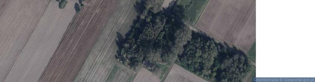 Zdjęcie satelitarne Zarzecz Łukowski ul.