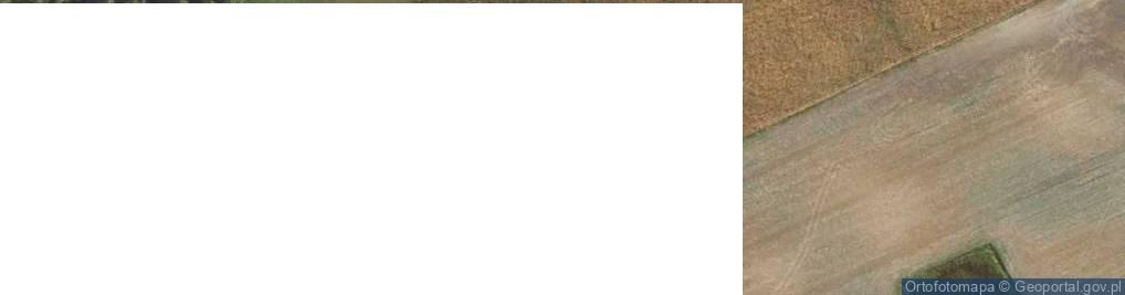 Zdjęcie satelitarne Zaskocz ul.