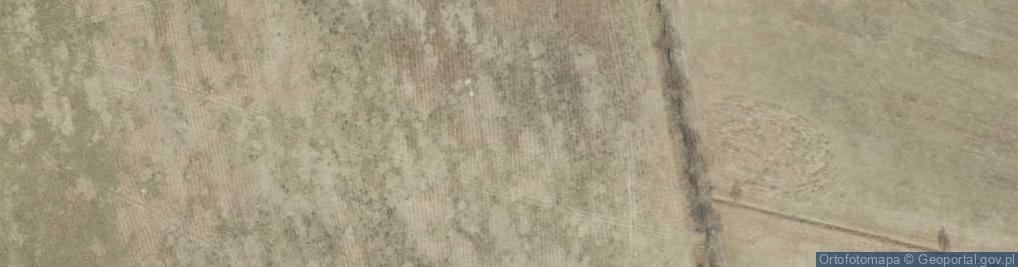 Zdjęcie satelitarne Zatonie-Pszenna ul.