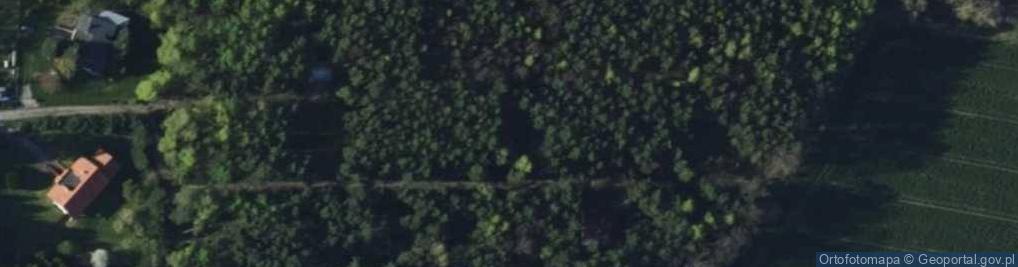 Zdjęcie satelitarne Zbigniewa ul.