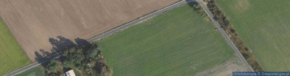 Zdjęcie satelitarne Zbijewo-Parcele ul.