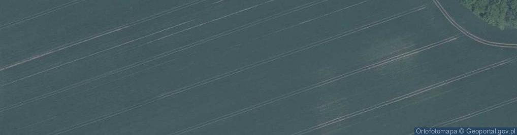 Zdjęcie satelitarne Żbika ul.