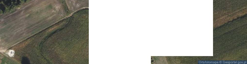 Zdjęcie satelitarne Zbójno ul.