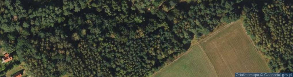 Zdjęcie satelitarne Zbożowa ul.