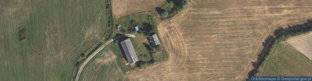 Zdjęcie satelitarne Zduny ul.
