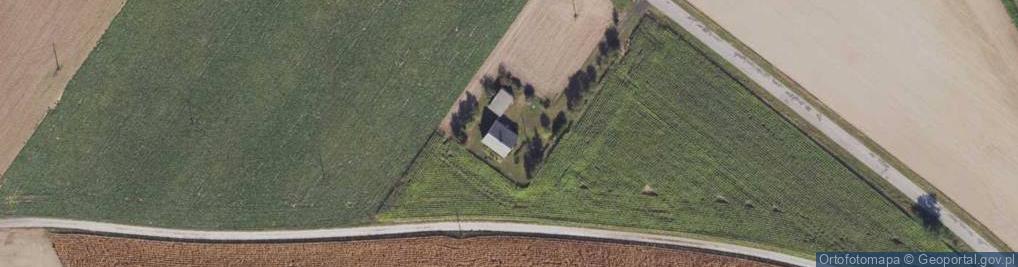 Zdjęcie satelitarne Zduny ul.