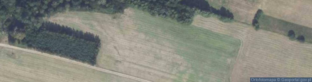 Zdjęcie satelitarne Zdziwój Nowy ul.