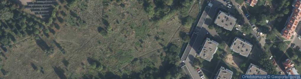 Zdjęcie satelitarne Żelazna ul.