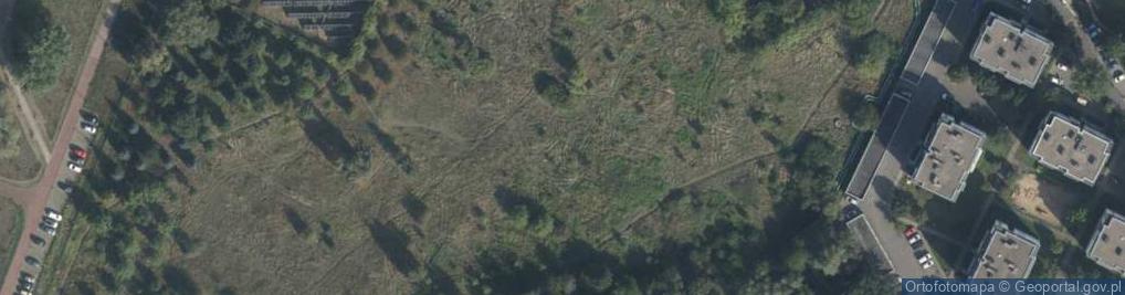 Zdjęcie satelitarne Żelazna ul.