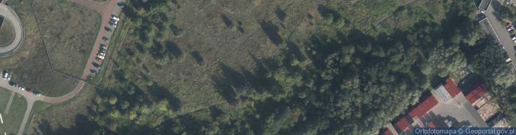 Zdjęcie satelitarne Żelazna ul.