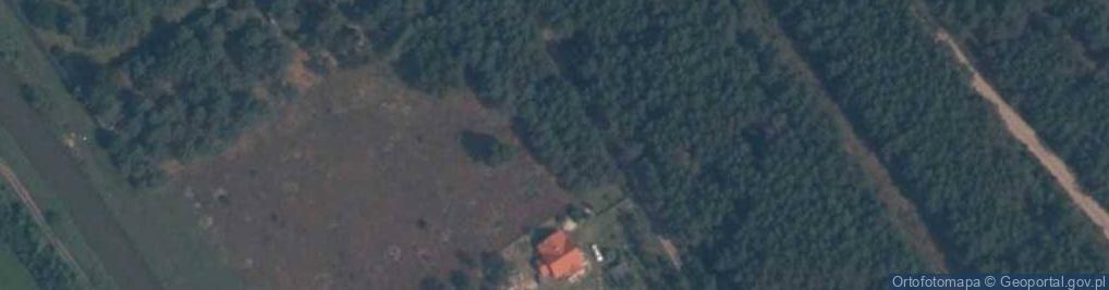 Zdjęcie satelitarne Żebrowo ul.