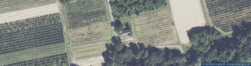 Zdjęcie satelitarne Zegartowice ul.